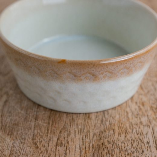 【WEB限定】スモークリース・ブラウン 切立小鉢 -器市-