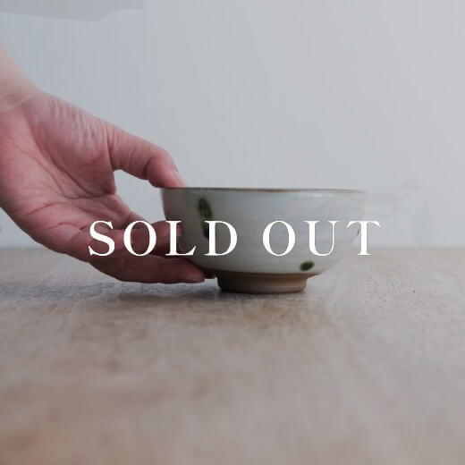 アウトレット食器（器市）の土物 中平碗（ドット）売り切れ