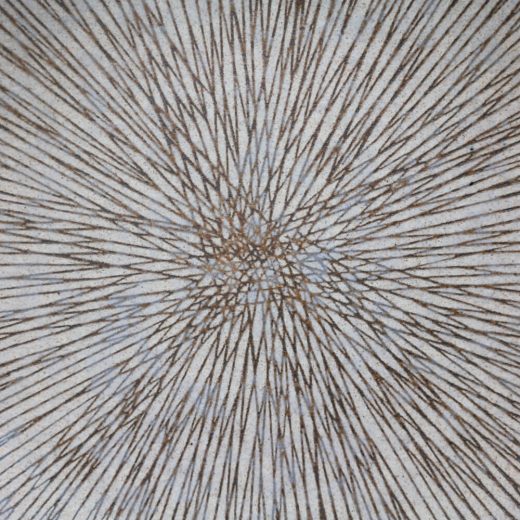 【WEB限定】砂目乱十草 丸8寸皿 -器市-