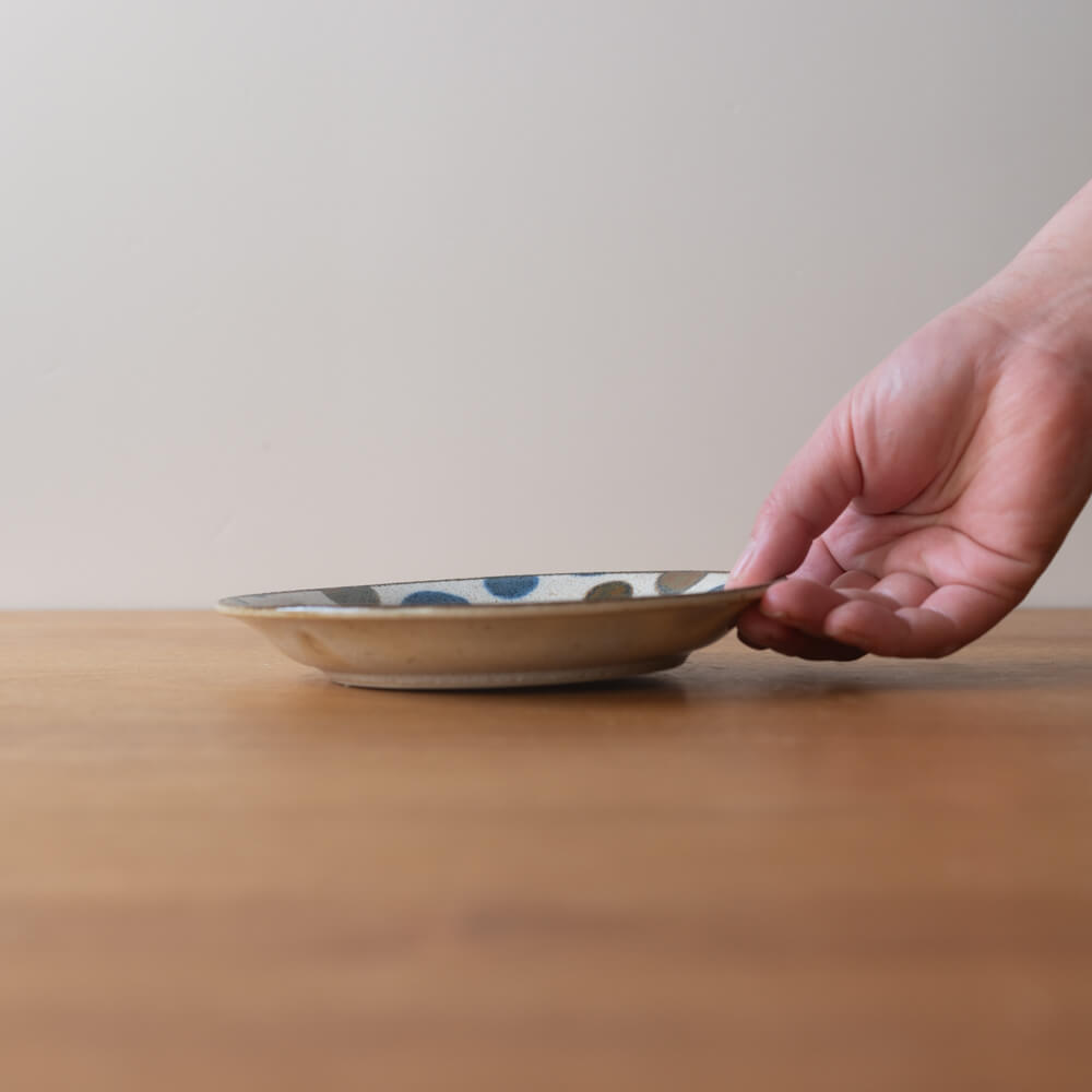 【WEB限定】ぱいかじ5寸皿 星 (ドット) -器市-