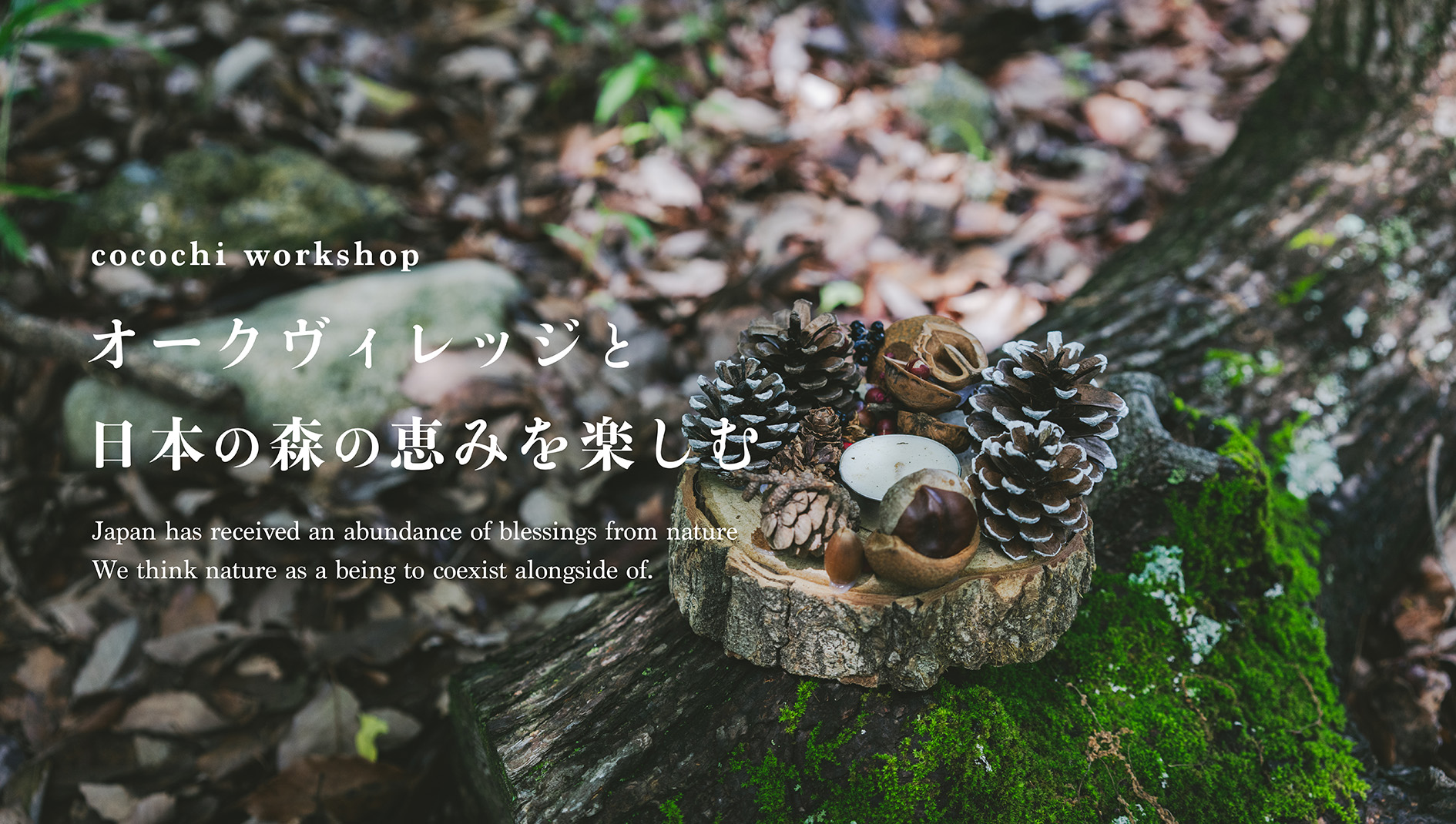 workshop オークヴィレッジと日本の森